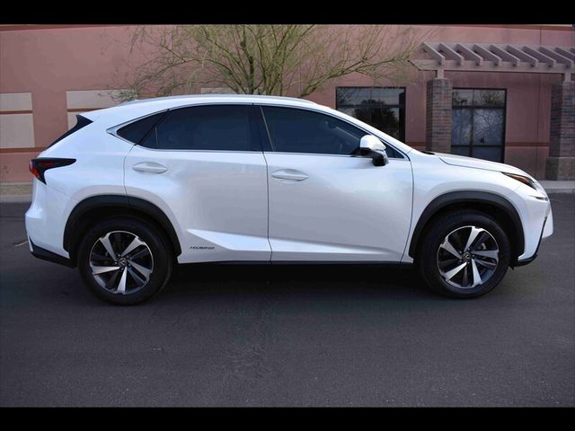 2019 Lexus NX 300h