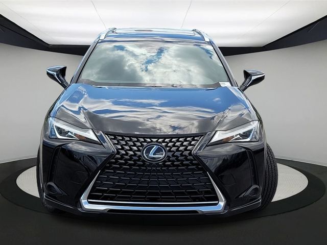 2019 Lexus UX 200