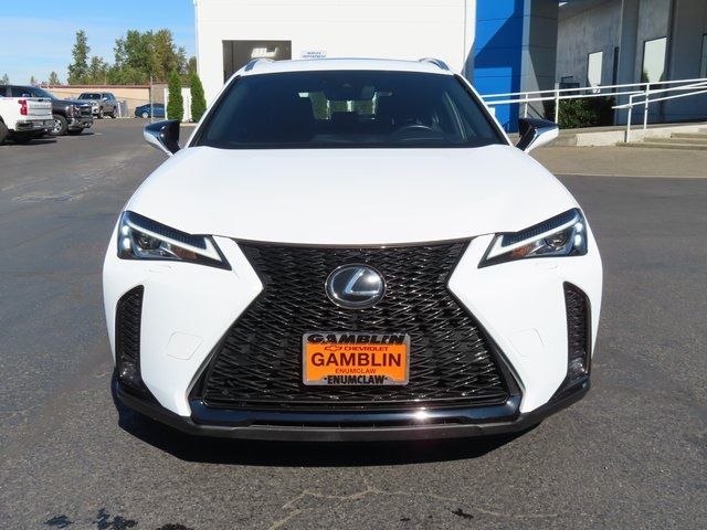 2019 Lexus UX 200 F Sport