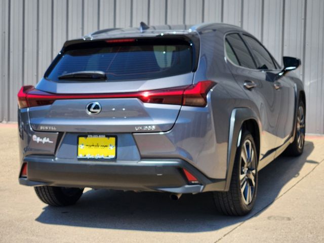 2019 Lexus UX 200 F Sport