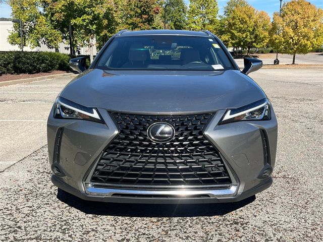 2019 Lexus UX 200 Luxury