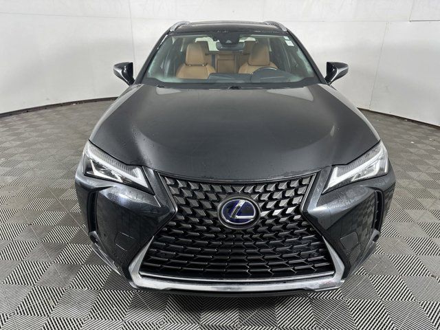 2019 Lexus UX 250h