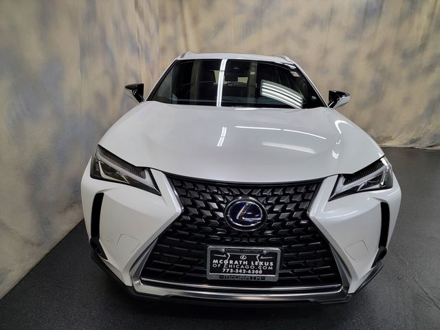 2019 Lexus UX 250h