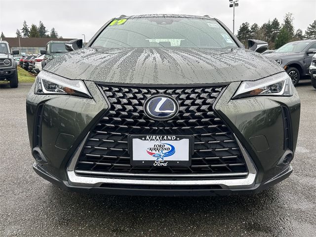 2019 Lexus UX 