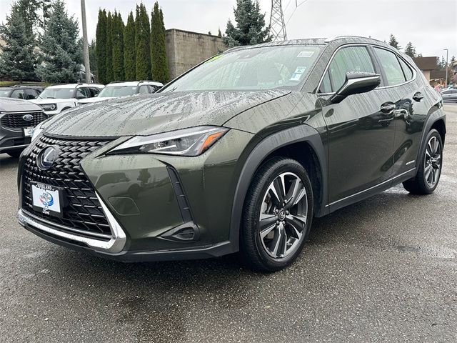 2019 Lexus UX 