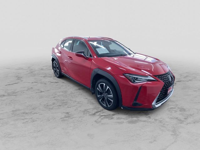 2019 Lexus UX 