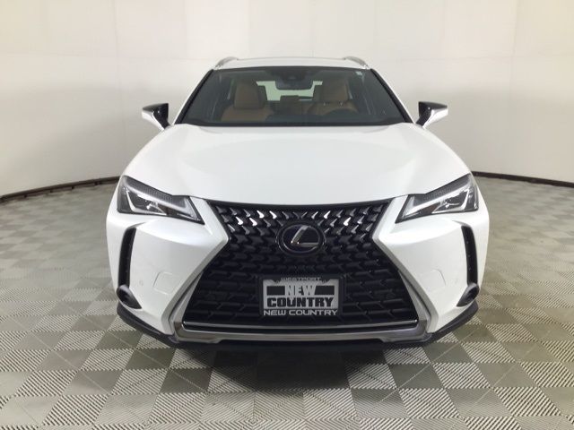 2019 Lexus UX 250h F Sport