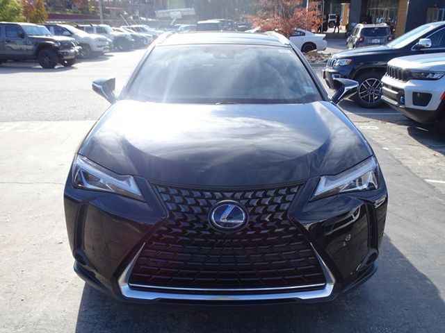 2019 Lexus UX 250h Luxury