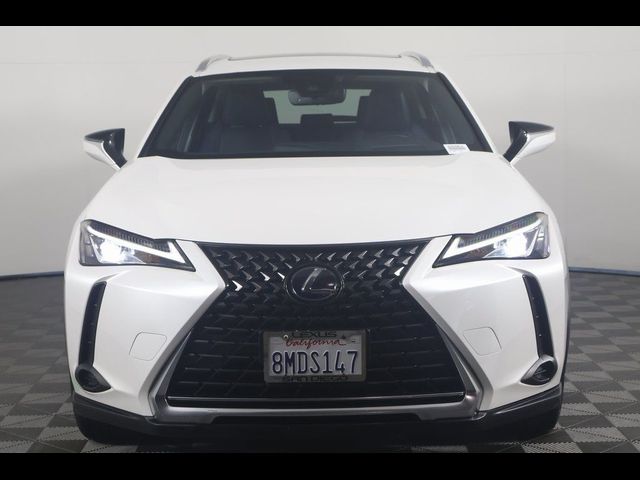 2019 Lexus UX 250h