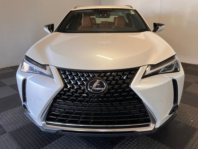 2019 Lexus UX 250h F Sport