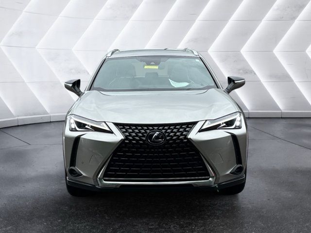 2019 Lexus UX 