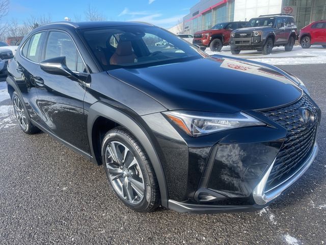 2019 Lexus UX 250h Luxury