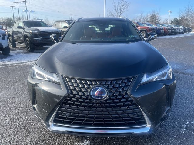 2019 Lexus UX 250h Luxury