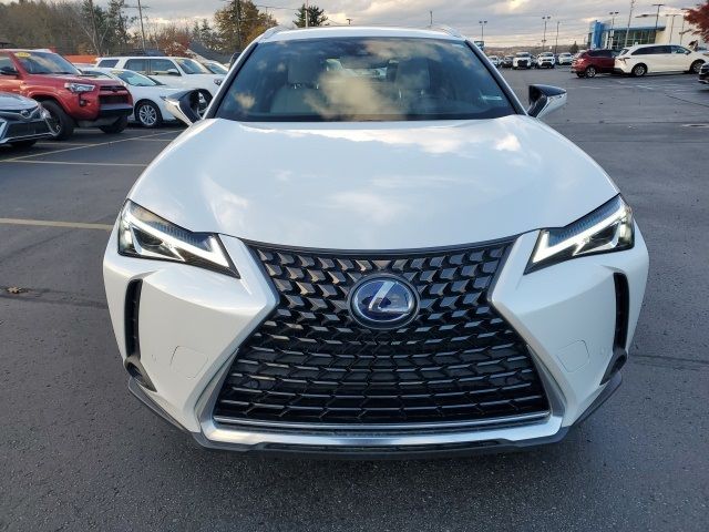 2019 Lexus UX 250h Luxury