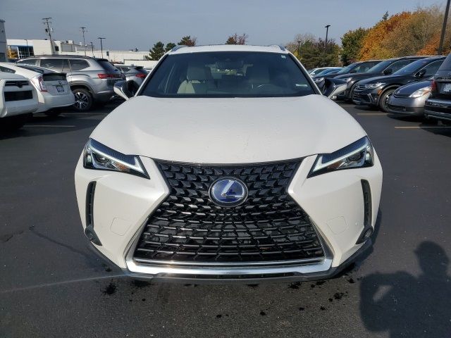 2019 Lexus UX 250h Luxury