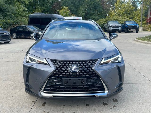 2019 Lexus UX 