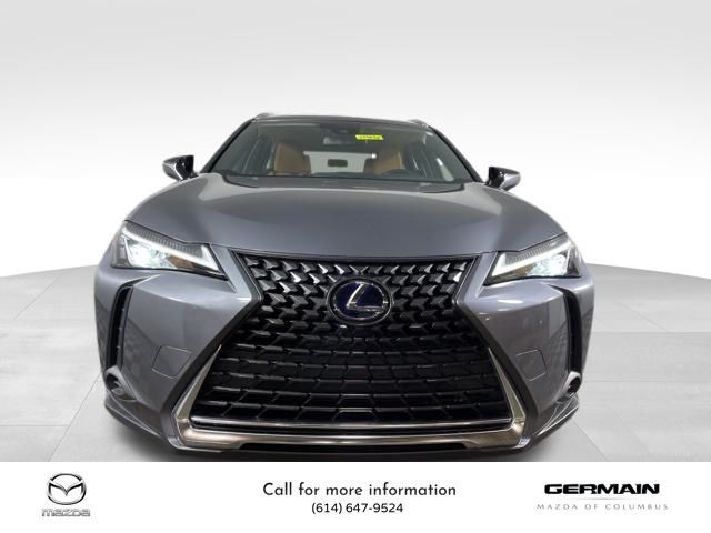 2019 Lexus UX 