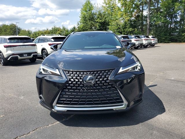 2019 Lexus UX 