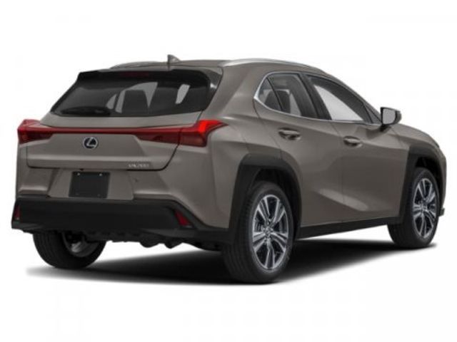 2019 Lexus UX 