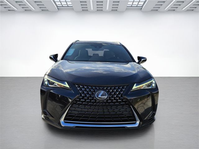 2019 Lexus UX 200 Luxury