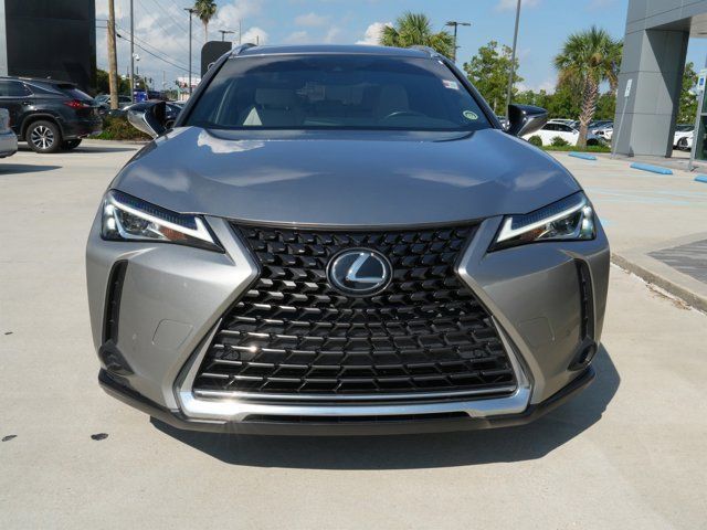 2019 Lexus UX 