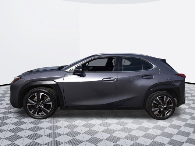 2019 Lexus UX 200 Luxury