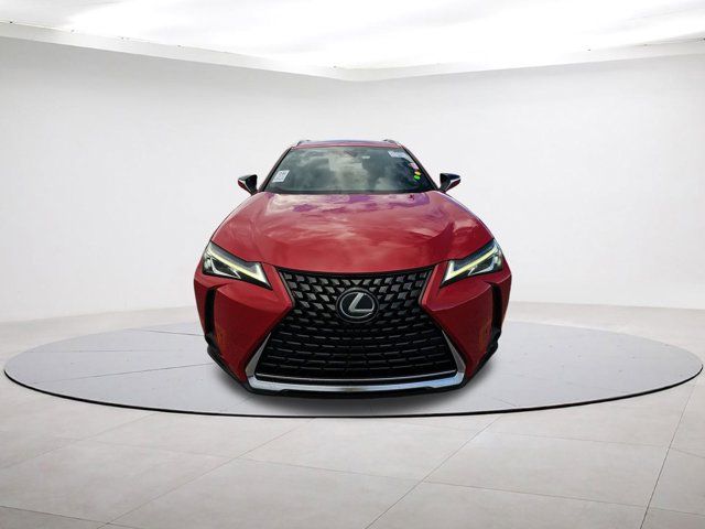 2019 Lexus UX 200