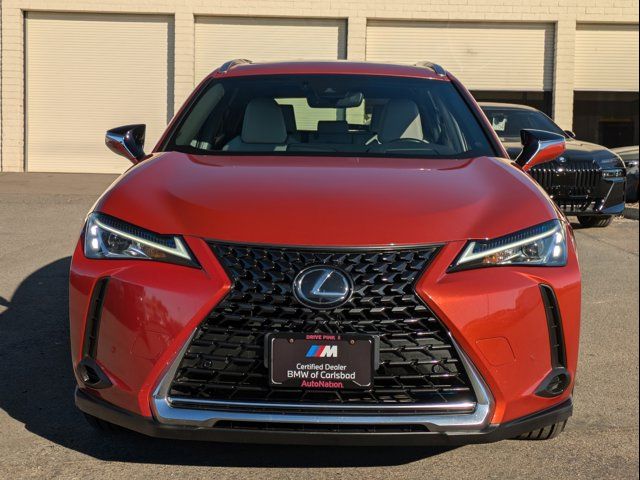 2019 Lexus UX 200 Luxury