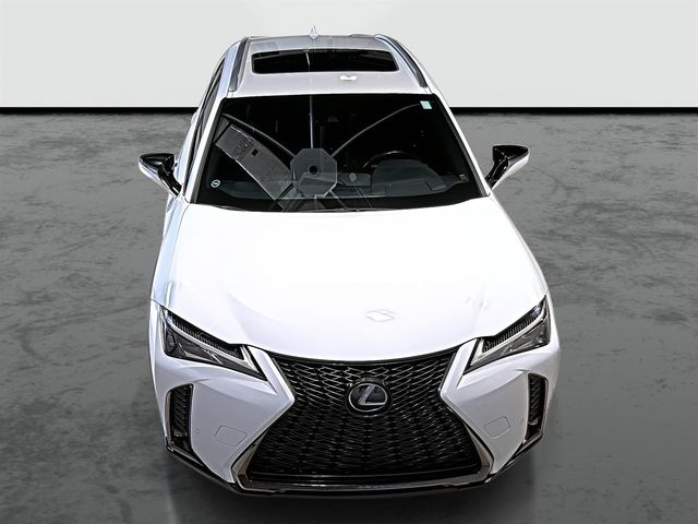 2019 Lexus UX 200 F Sport