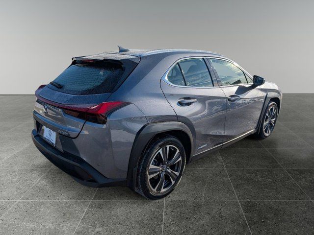 2019 Lexus UX 250h