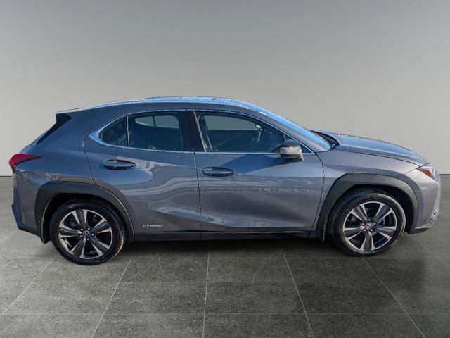 2019 Lexus UX 250h