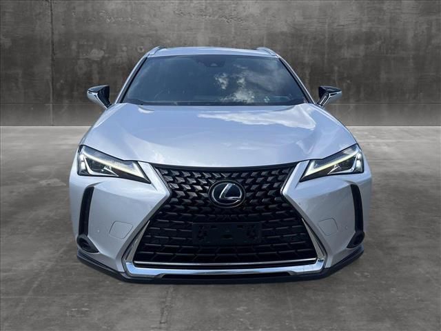 2019 Lexus UX 250h