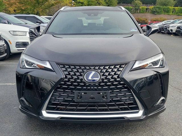 2019 Lexus UX 250h