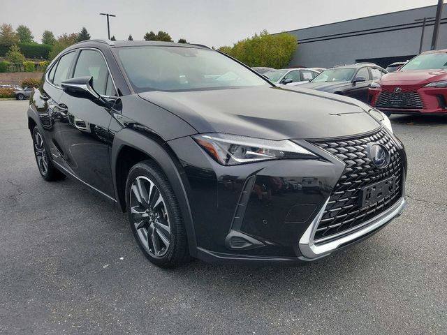 2019 Lexus UX 250h