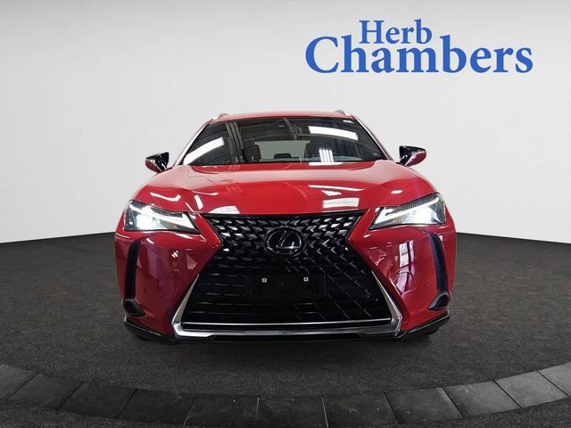 2019 Lexus UX 250h