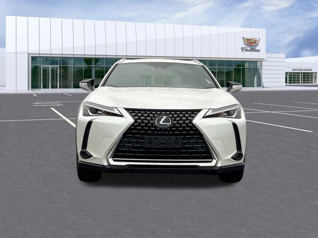 2019 Lexus UX 250h