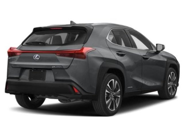 2019 Lexus UX 250h