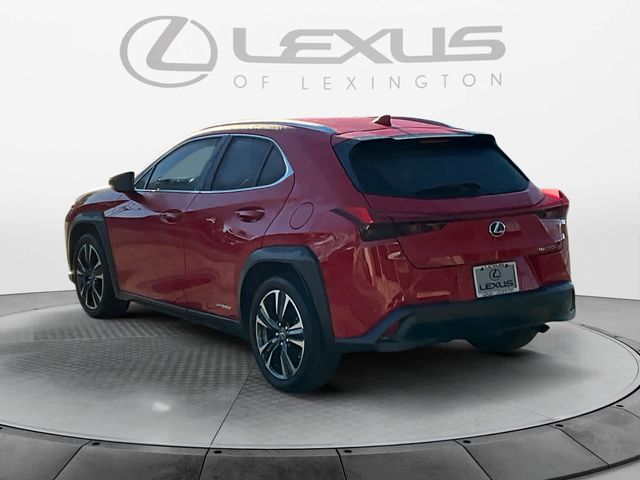 2019 Lexus UX 250h