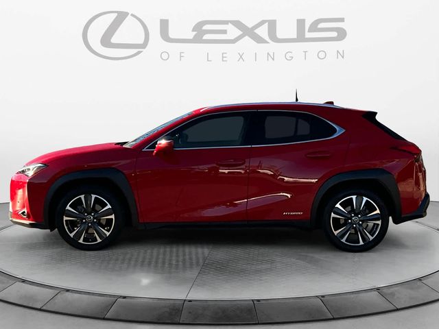 2019 Lexus UX 250h