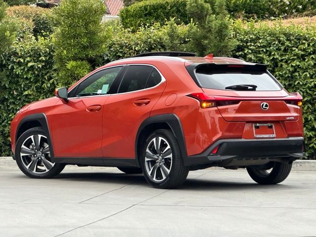 2019 Lexus UX 200