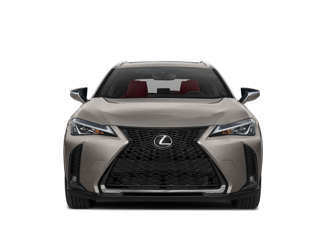 2019 Lexus UX 200 F Sport