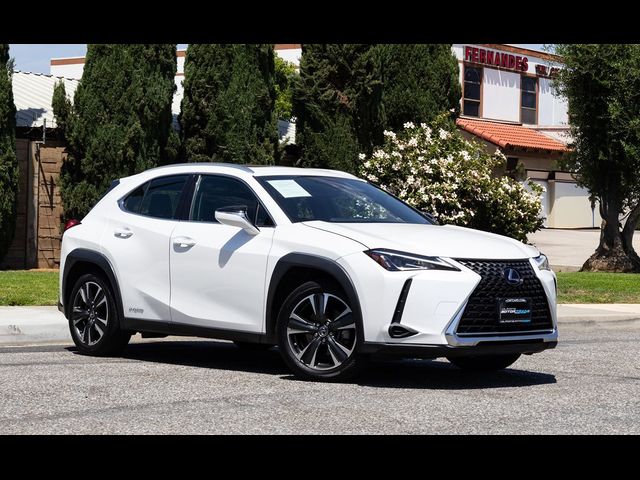 2019 Lexus UX 250h