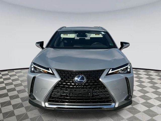 2019 Lexus UX 250h