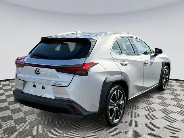 2019 Lexus UX 250h