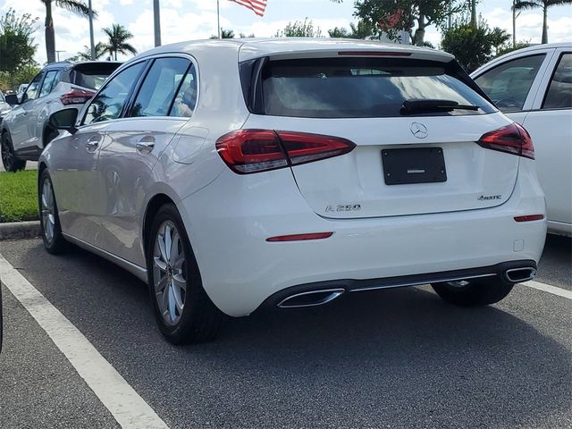 2019 Mercedes-Benz A-Class A 250