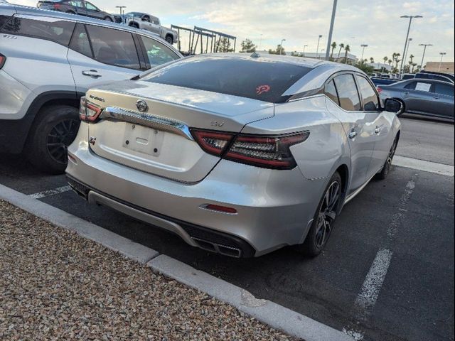 2019 Nissan Maxima SV