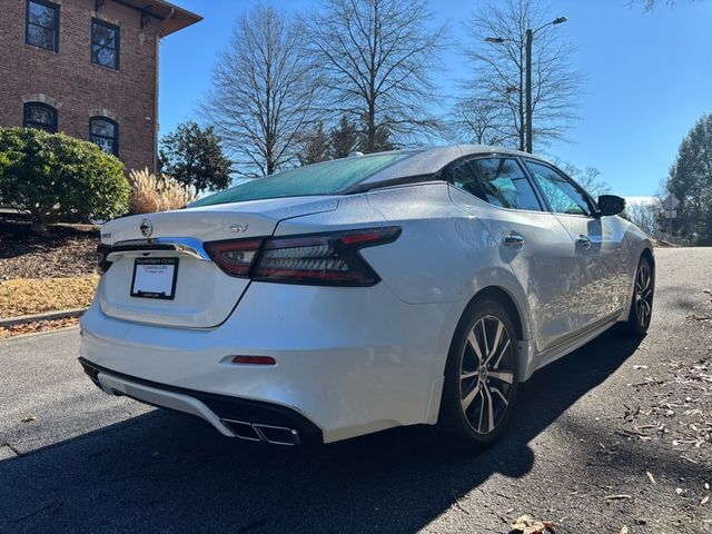 2019 Nissan Maxima SV