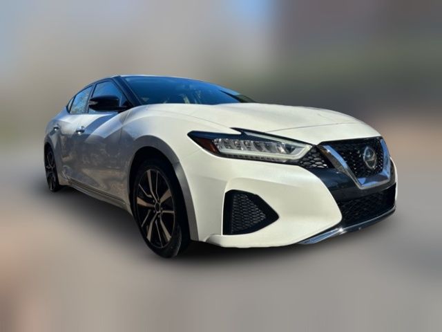 2019 Nissan Maxima SV