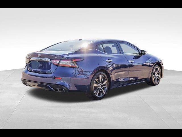 2019 Nissan Maxima SV