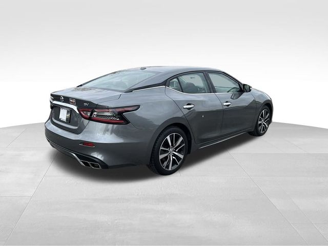 2019 Nissan Maxima SV